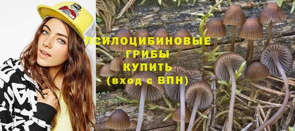 молекула духа Алексеевка