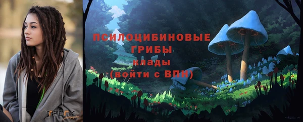 молекула духа Алексеевка