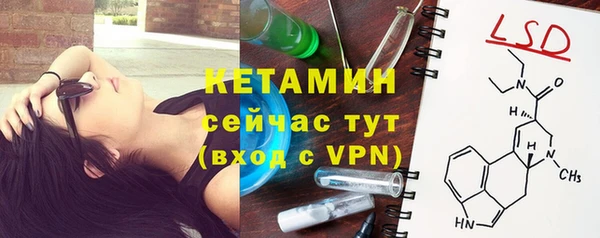 крисы Алексин