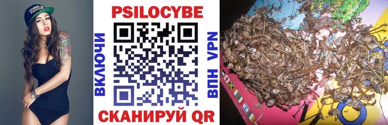 Псилоцибиновые грибы мухоморы  Трубчевск 